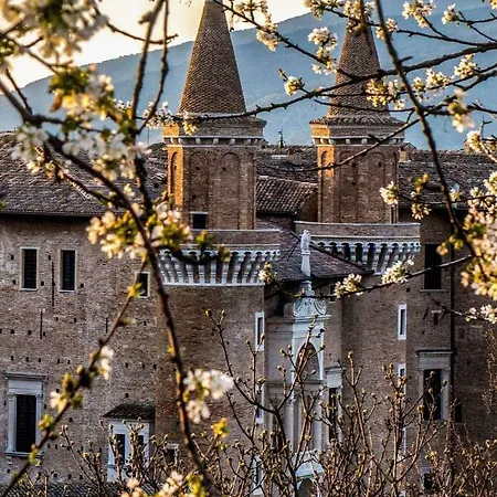 Il Podere Nuovo Urbino